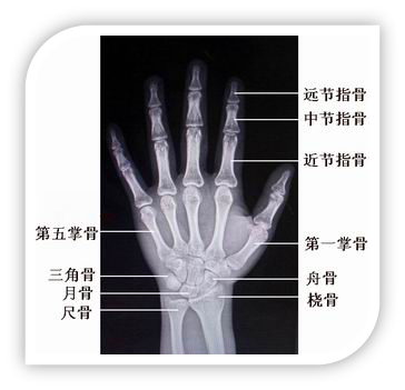 图片9.png 图片9.png